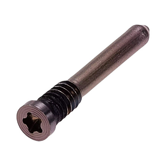 Bottom Pentalobe (*) Star Screws x 2 - Natural Titanium OEM for iPhone 16 Pro / 16 Pro Max